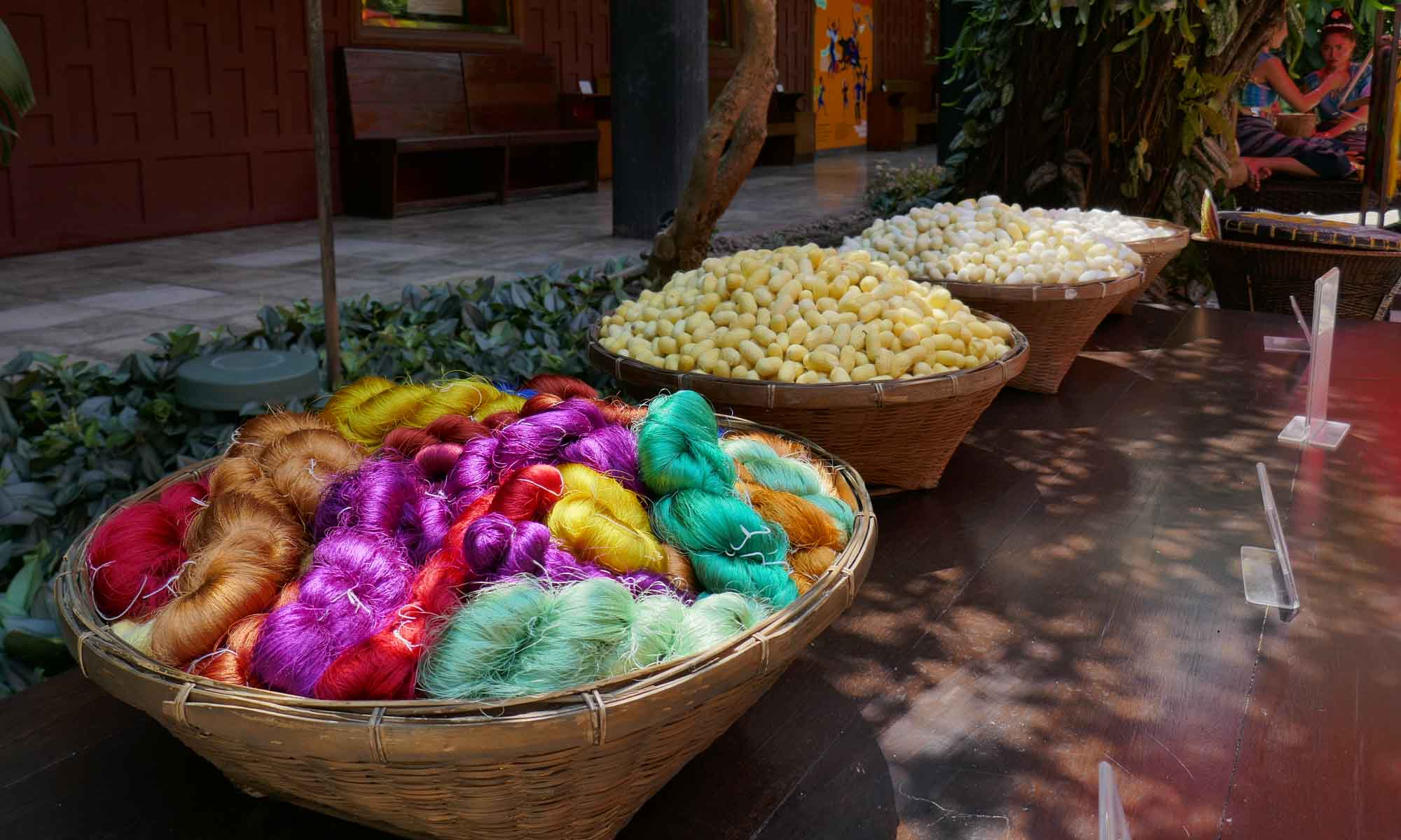Silk thread and cocoons