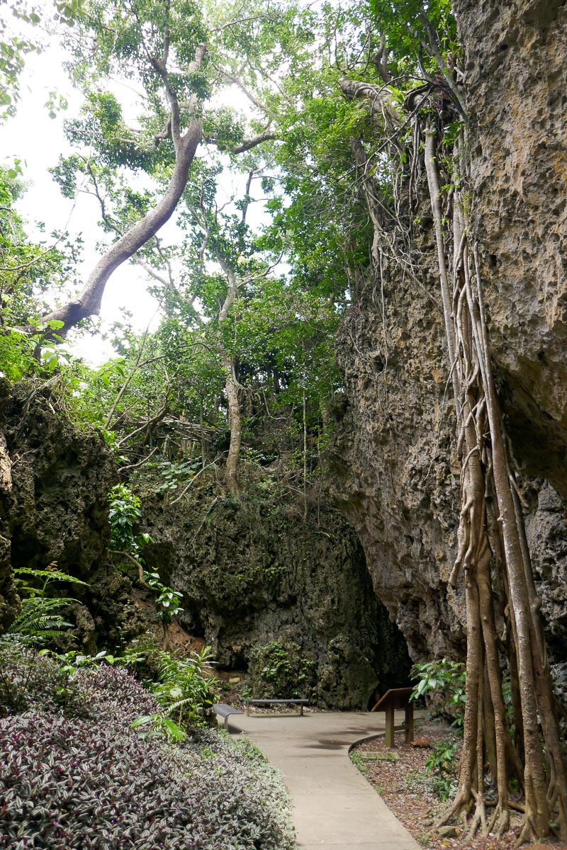 The valley of Hanging Banyan