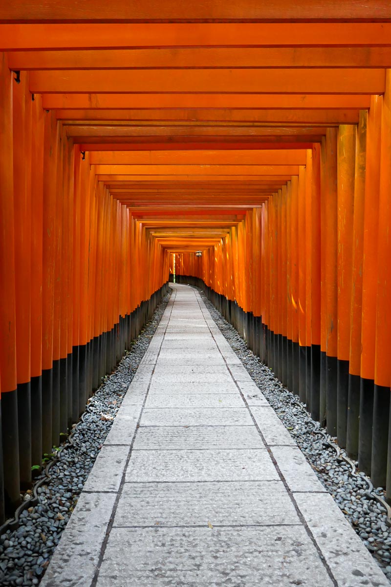 A tunnel of torii