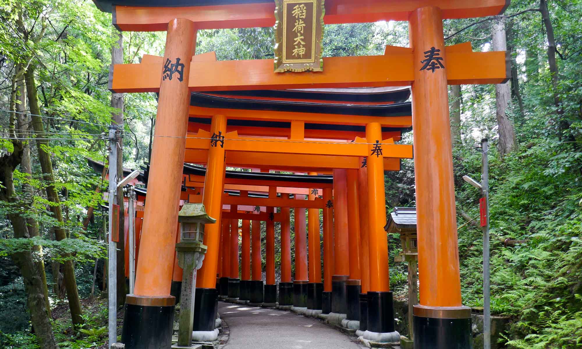 A set of large torii