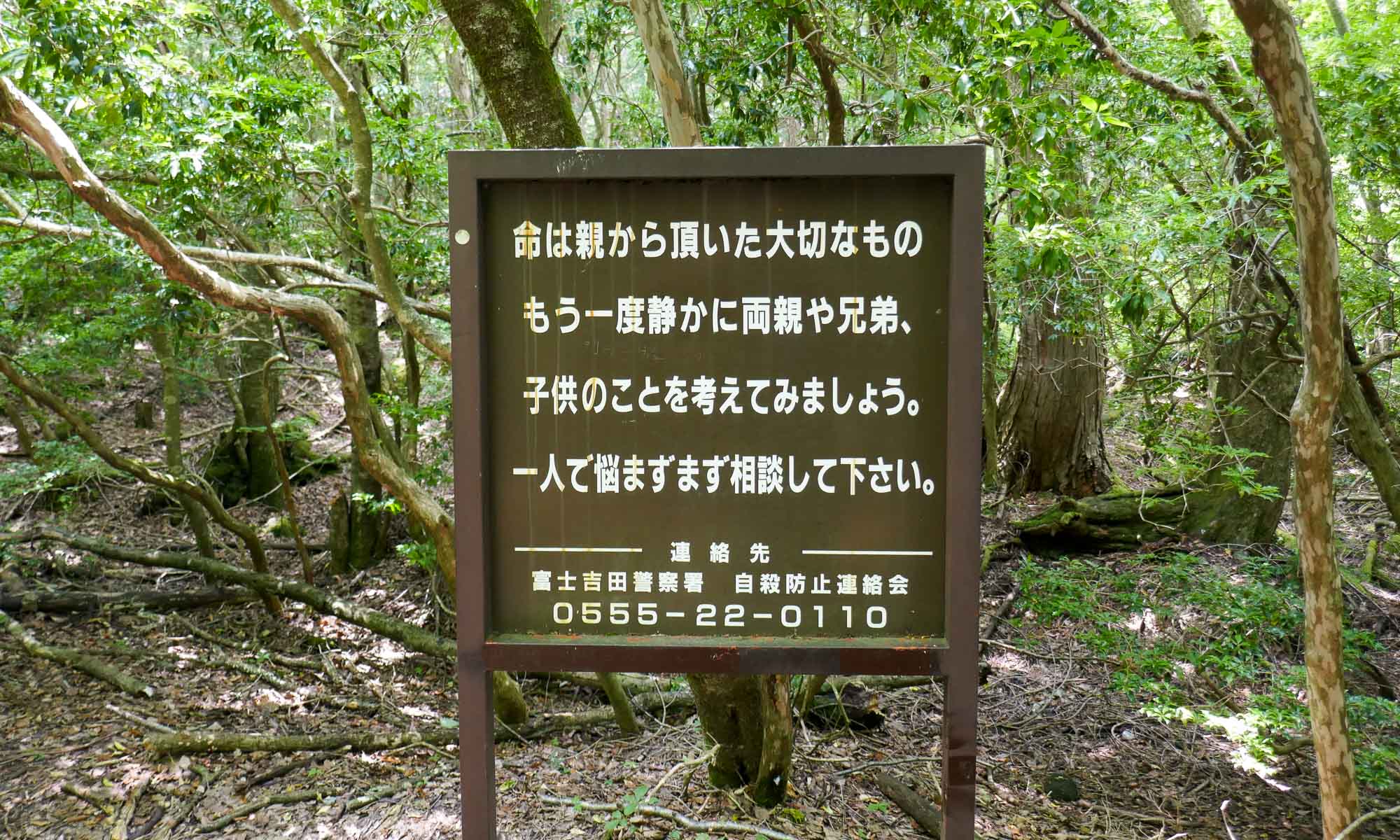 One of the signs at Aokigahara with a phone number for those feeling suicidal