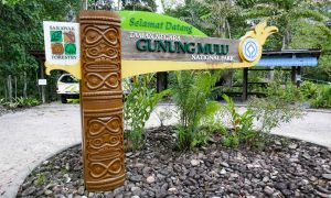 Gunung Mulu National Park